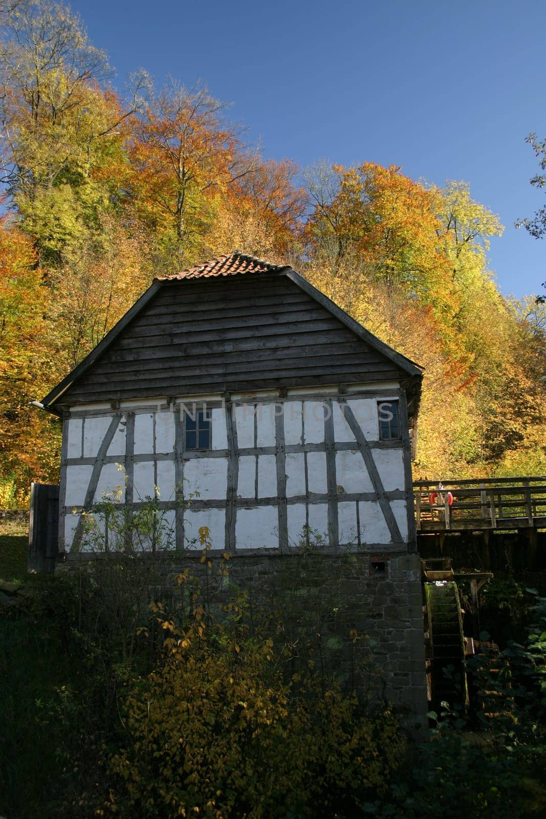 Water mill