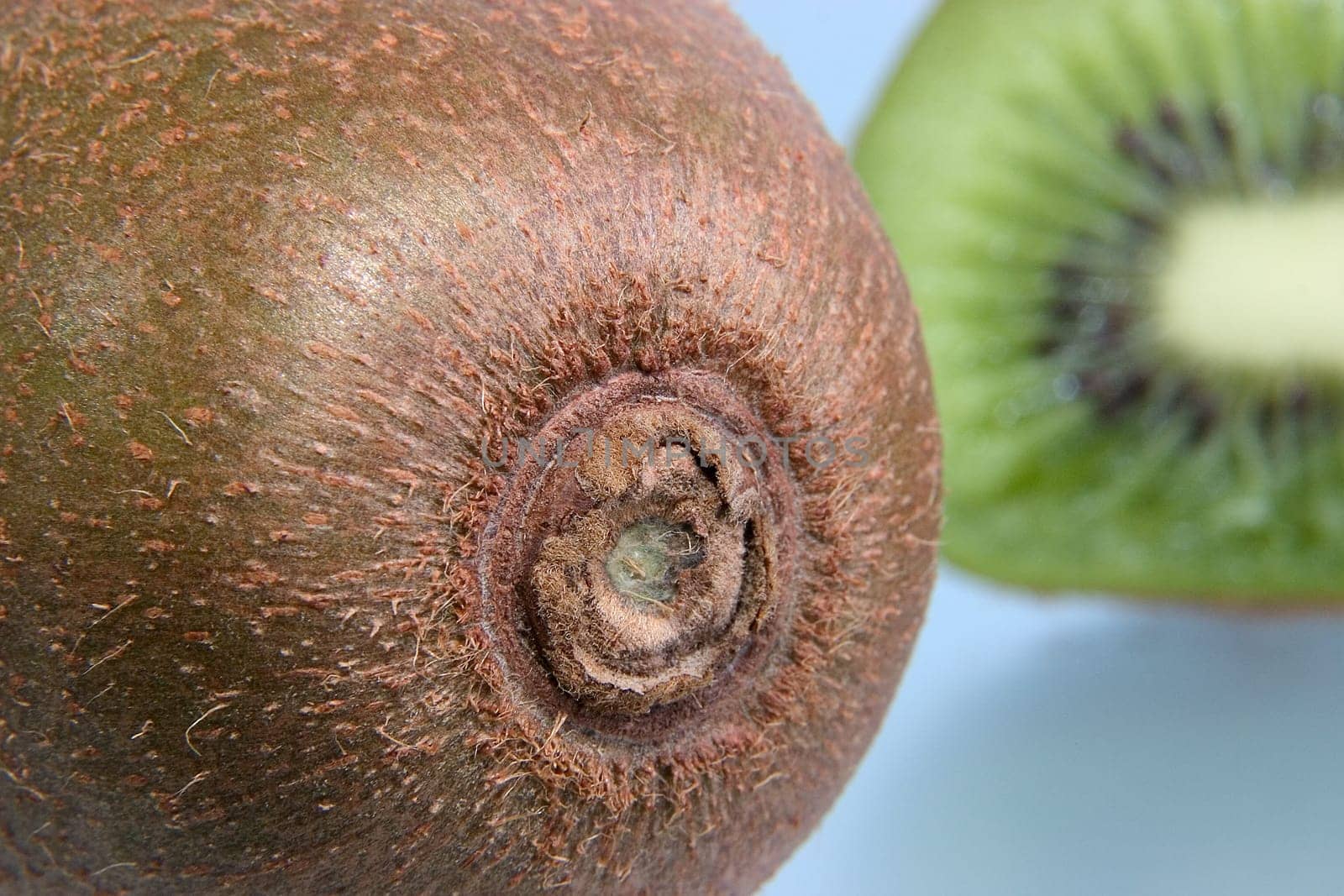 Kiwi 06