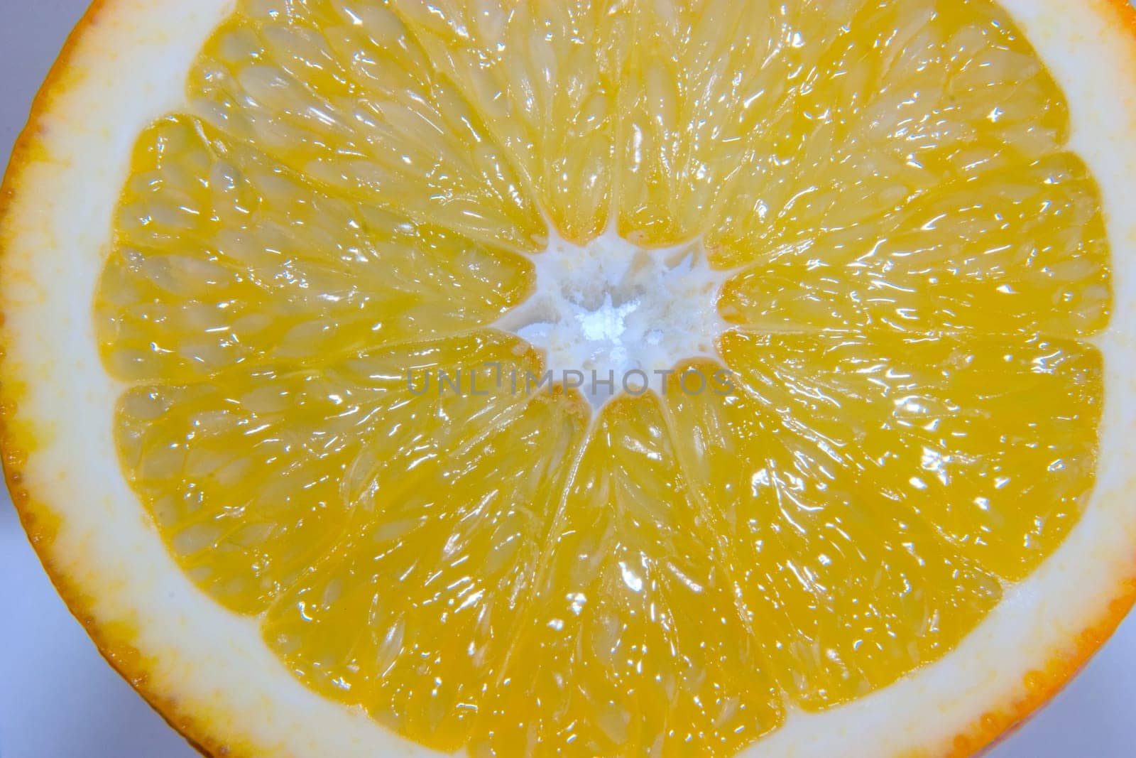 Orange slice 07