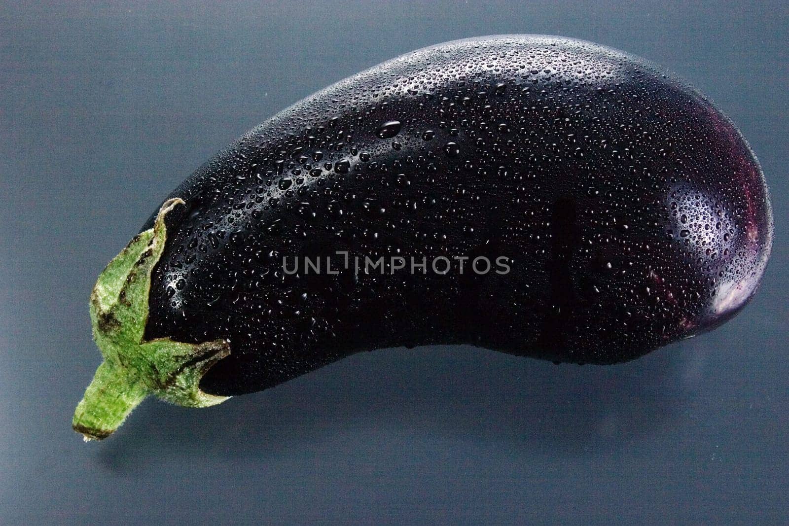 Eggplant 04