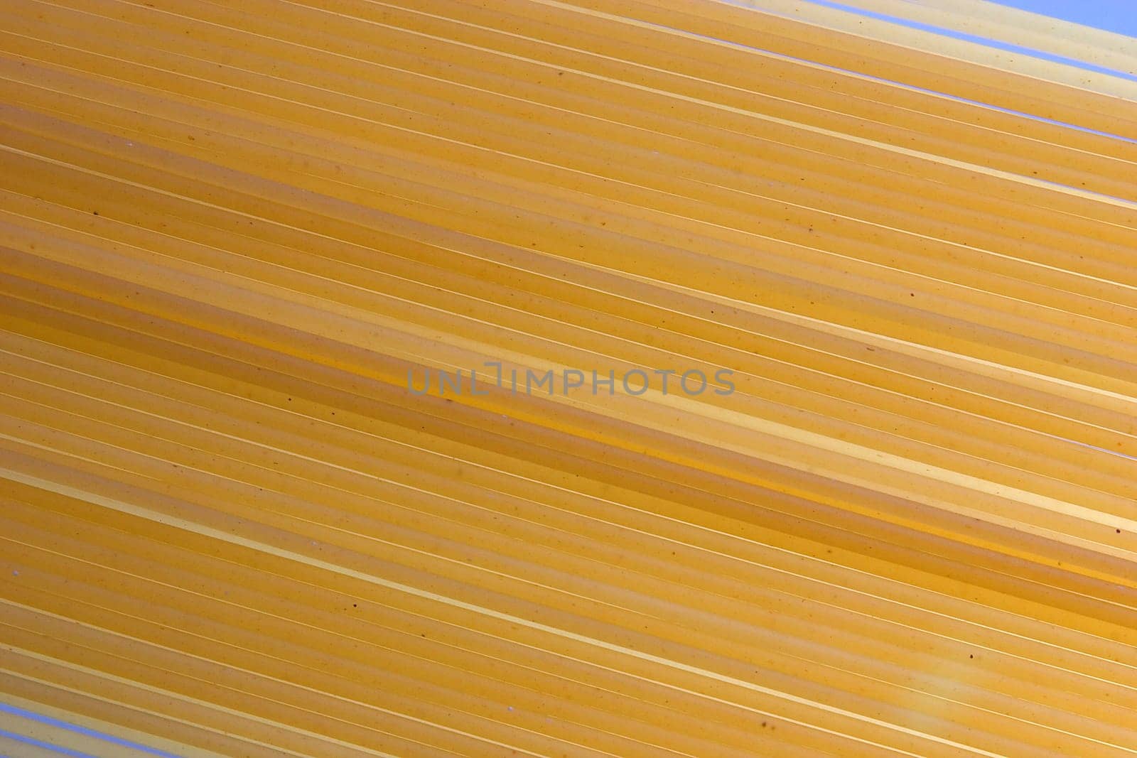 Spaghetti 05