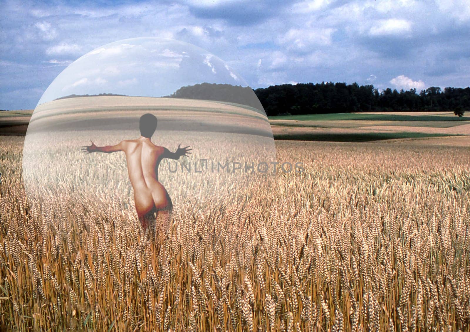 In the cornfield