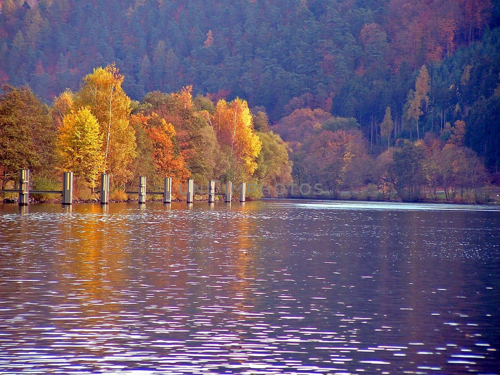 The banks of the Main