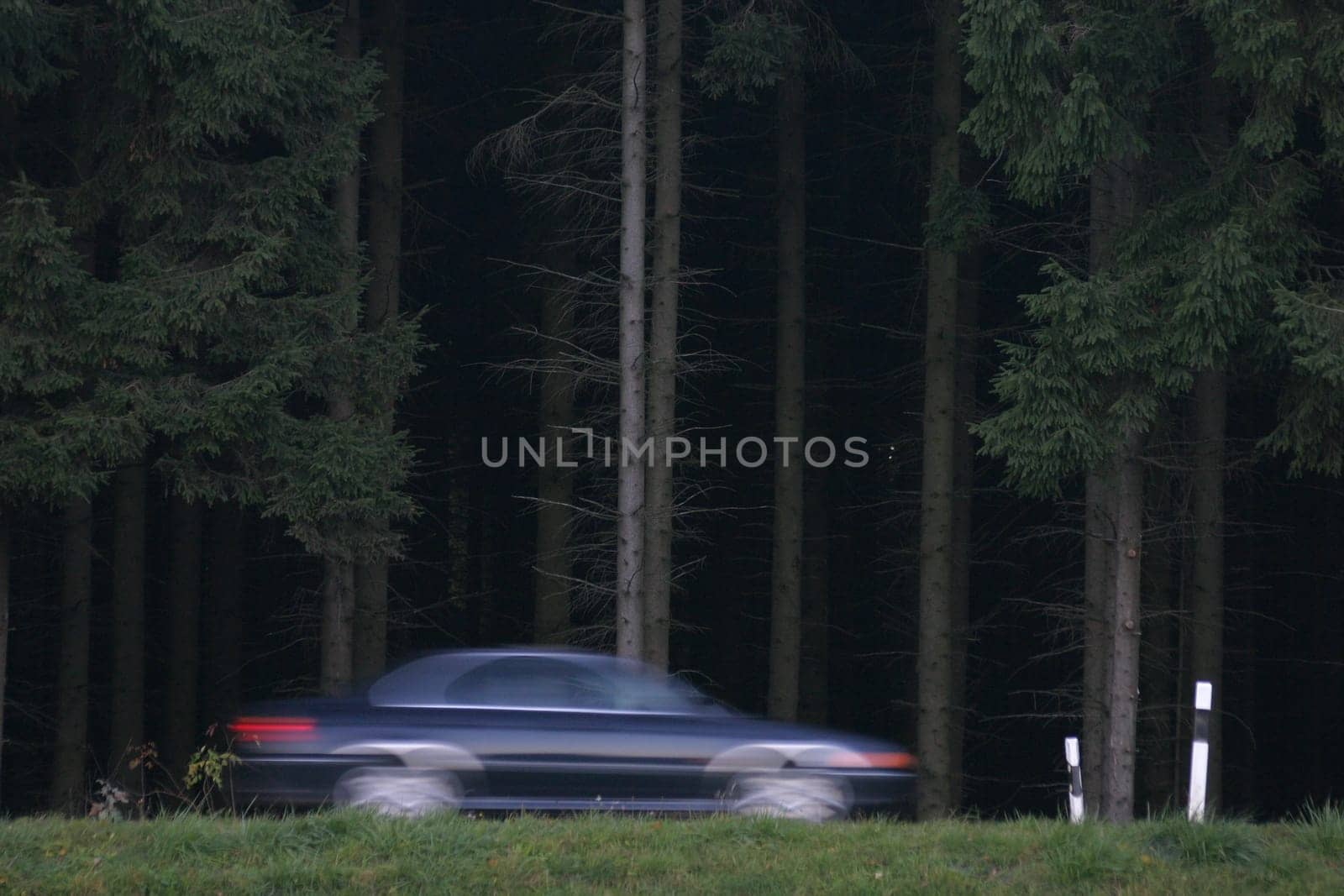 Forest Racer
