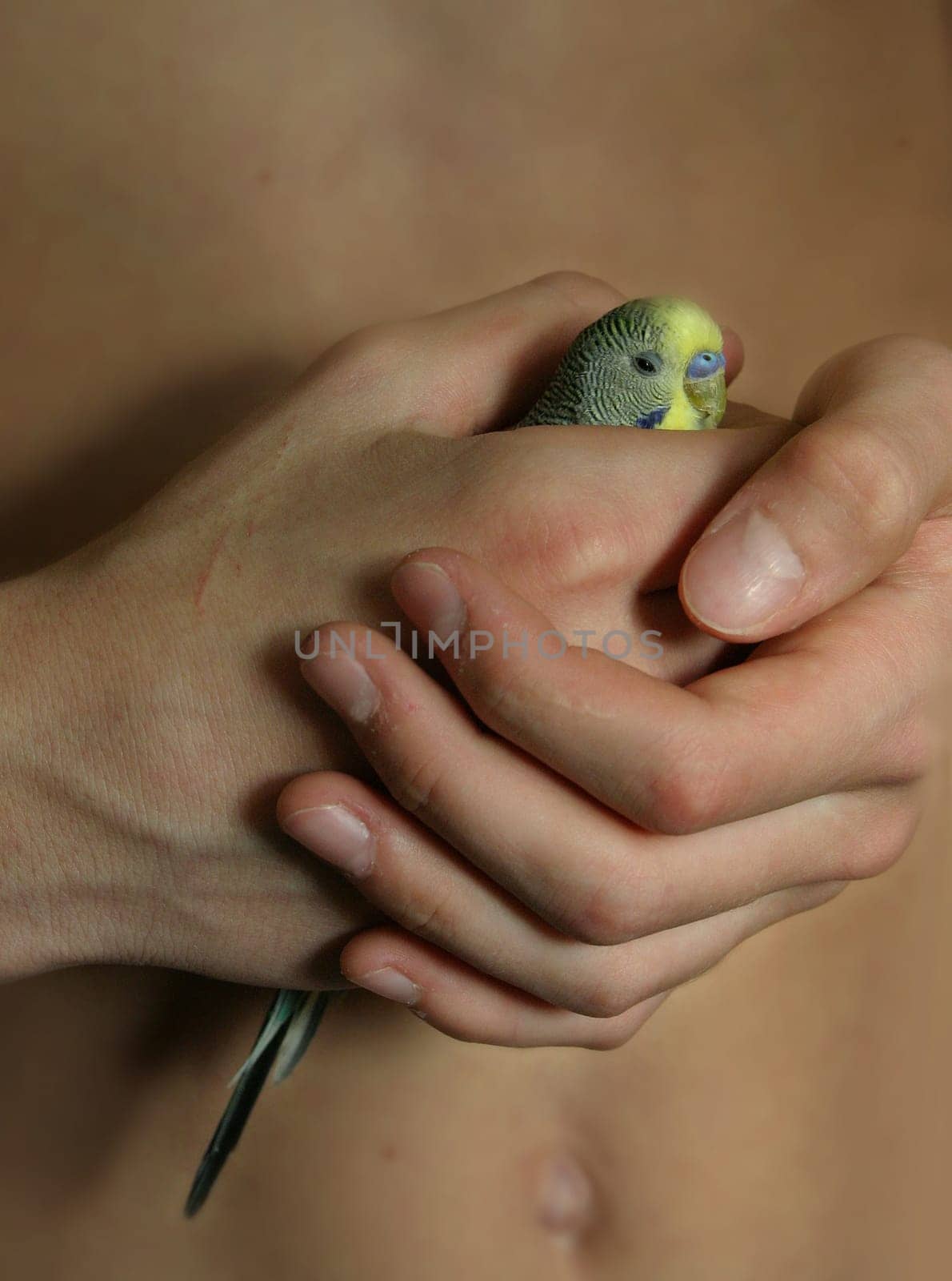Tame of the hand
