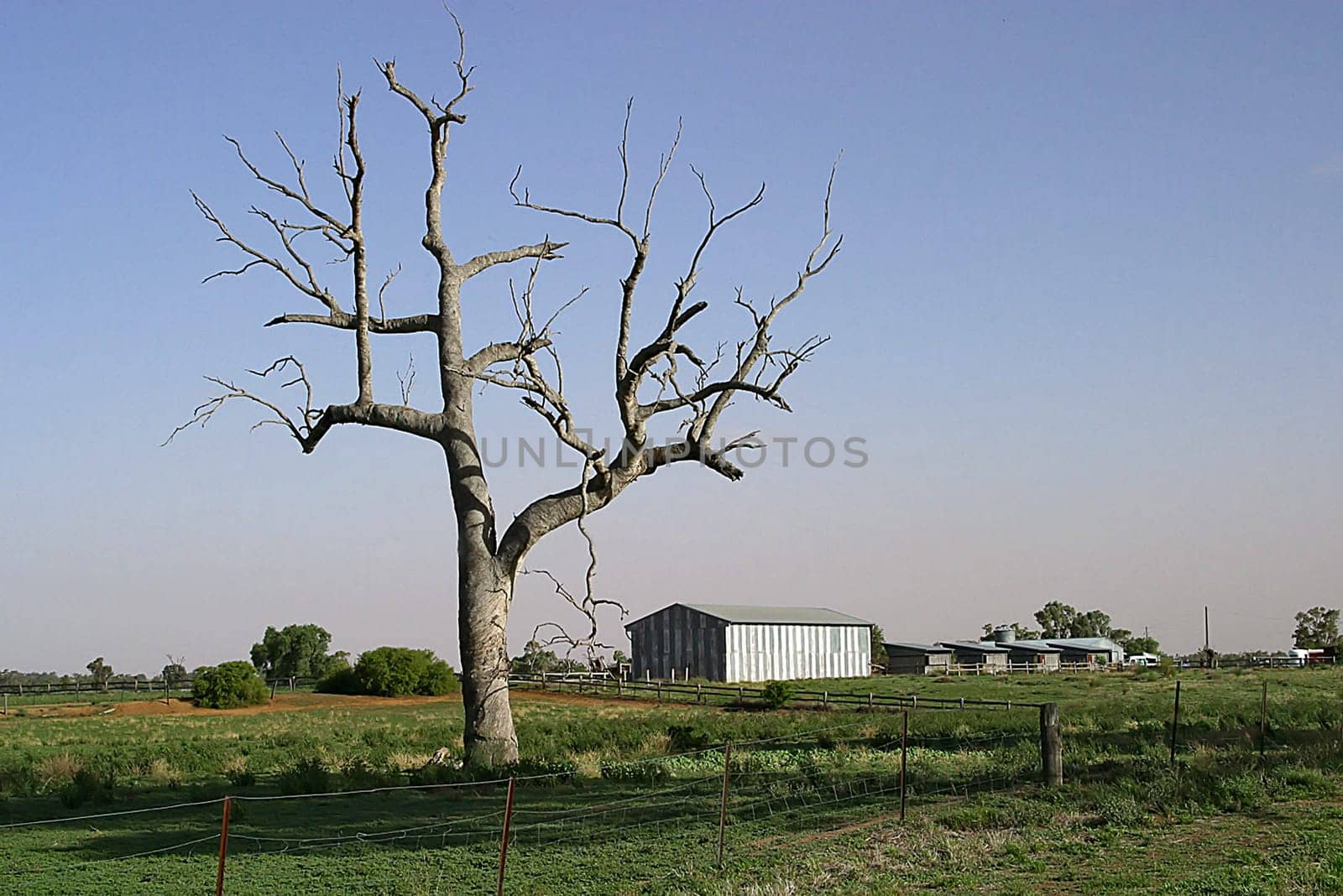 Near Dubbo,Country NSW