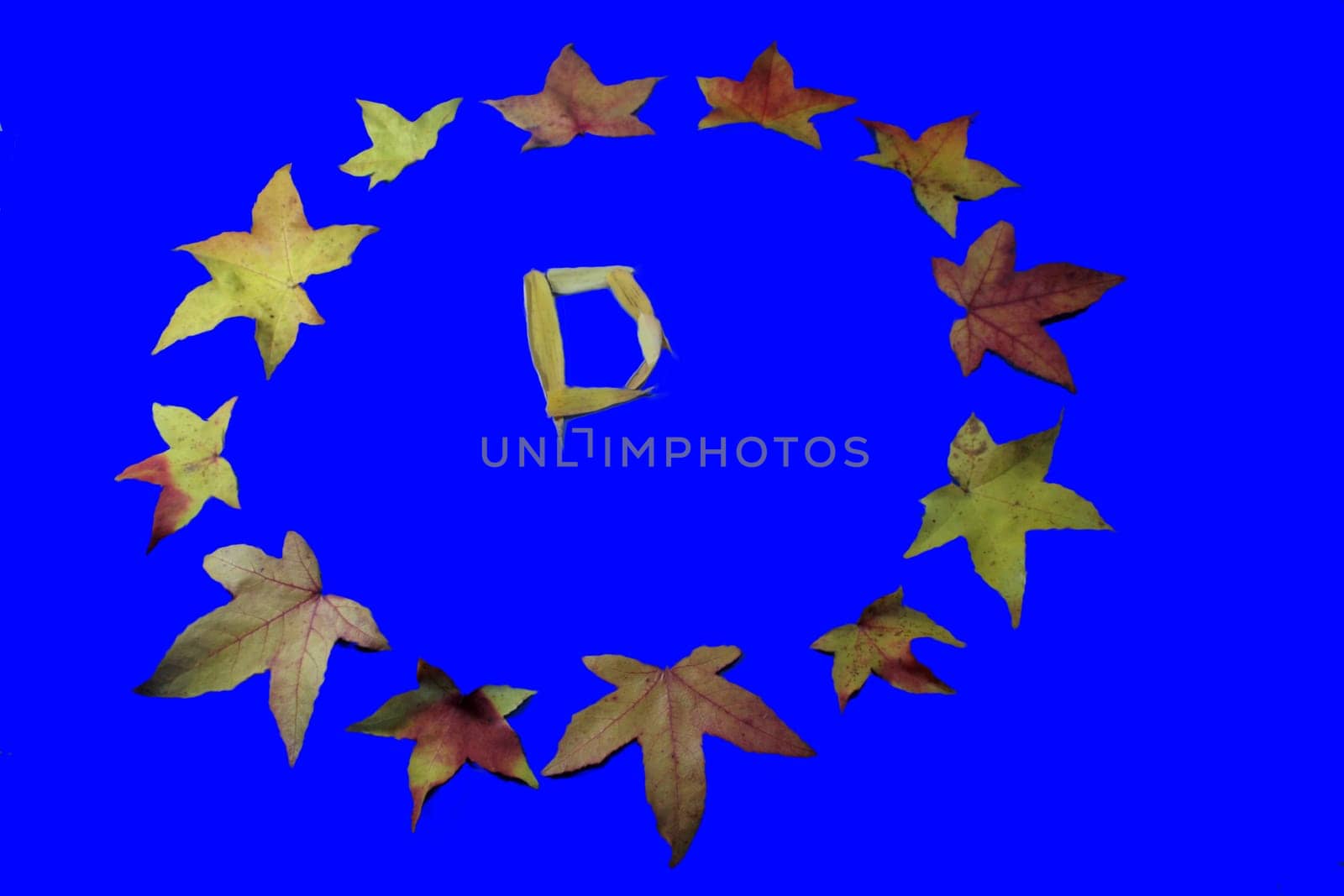 gefisch edited photo - elaboration of contrasts with monochrome blue background