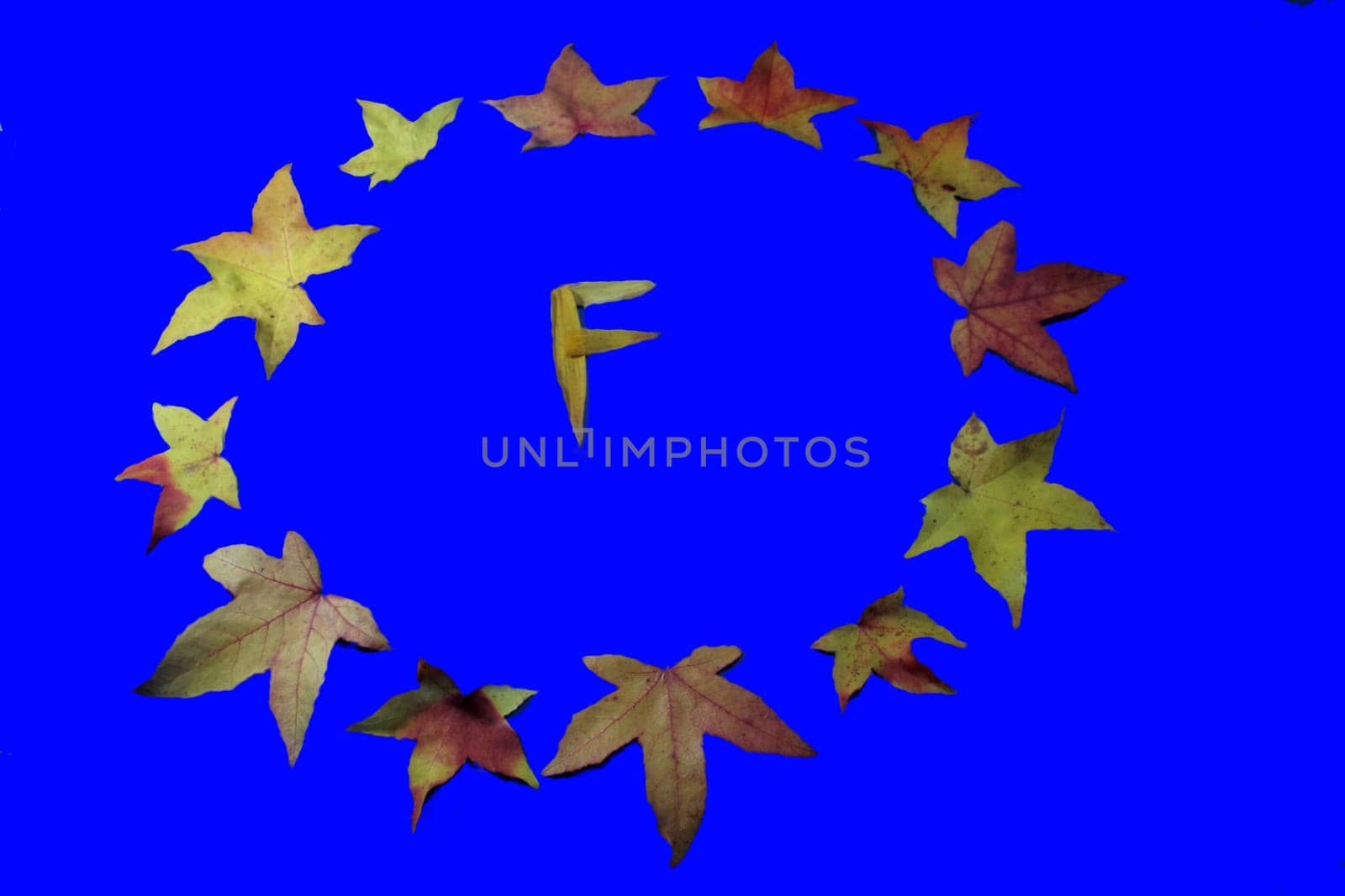graphically edited to highlight the stars