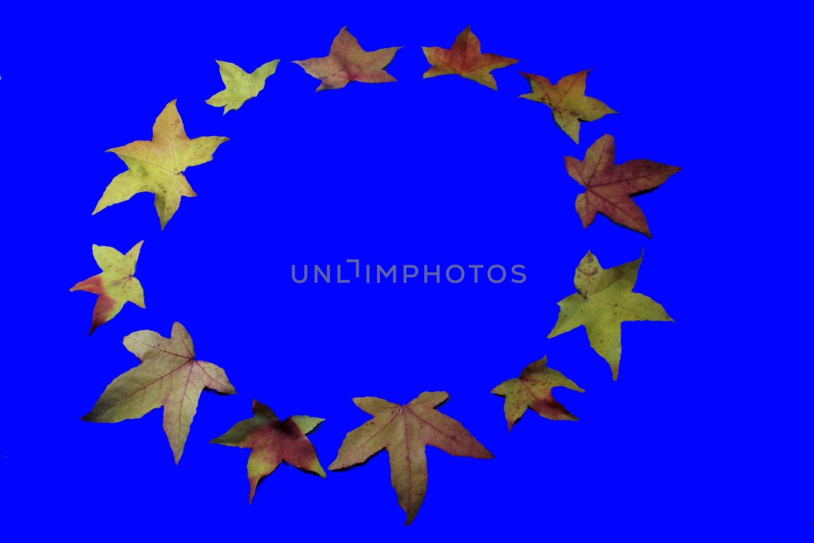 graphically edited photo,background monochrome blue,background color can be changed with one click of the fill tool,country letters can be easily inserted by text tool (but I find the letters laid with sheets more beautiful.  I have