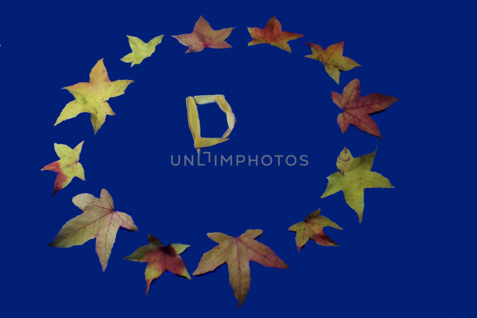 Graphically edited to emphasize the contrasts. Leaves from the sweetgum tree