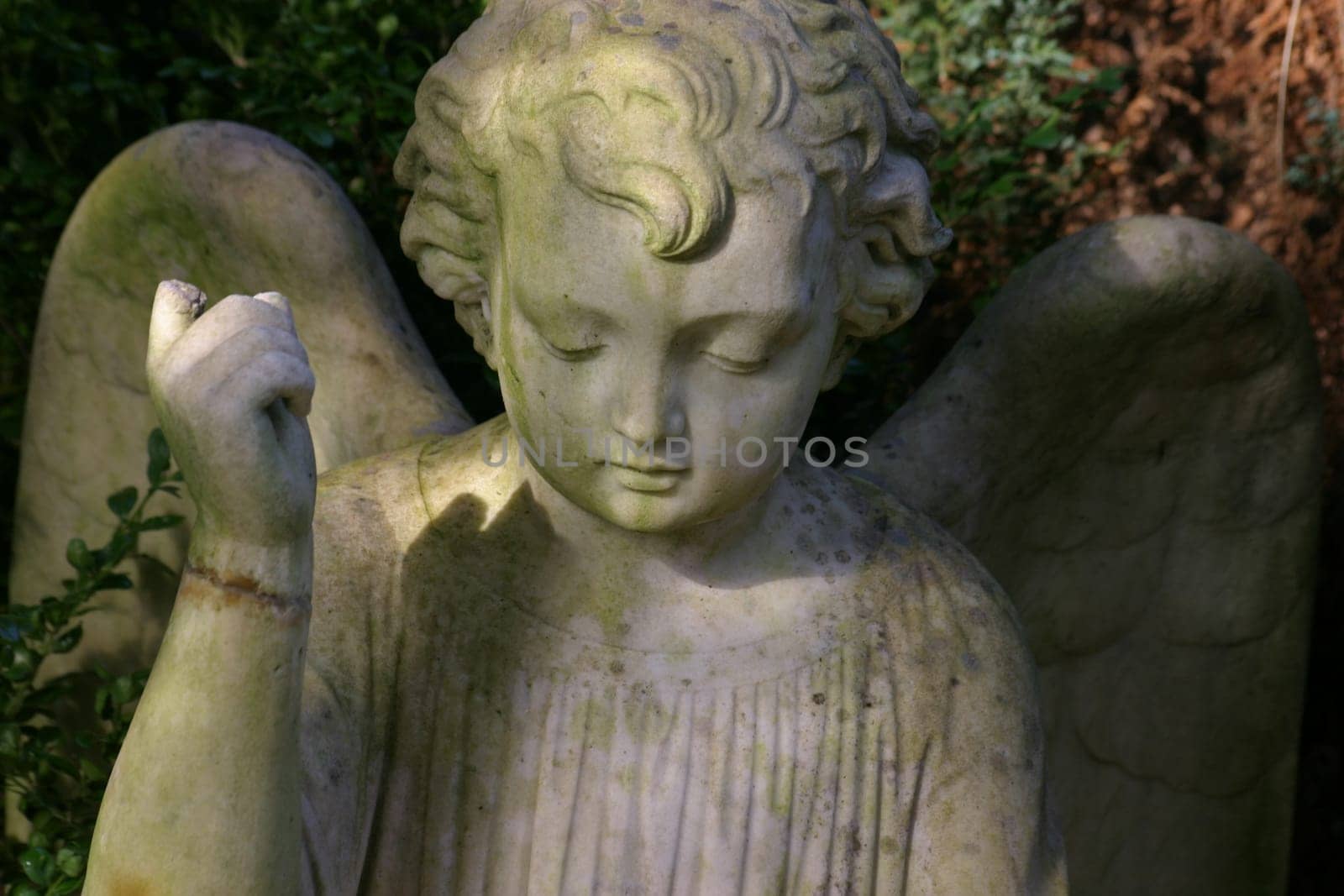Guardian angel