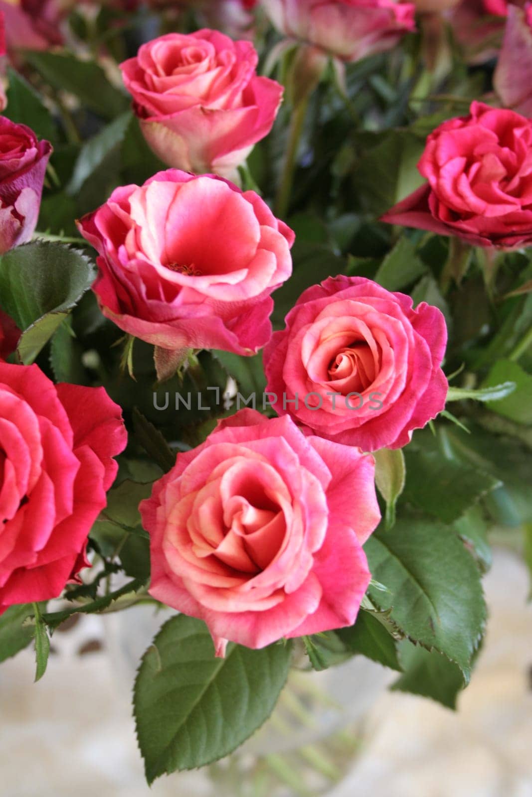 Bouquet of roses