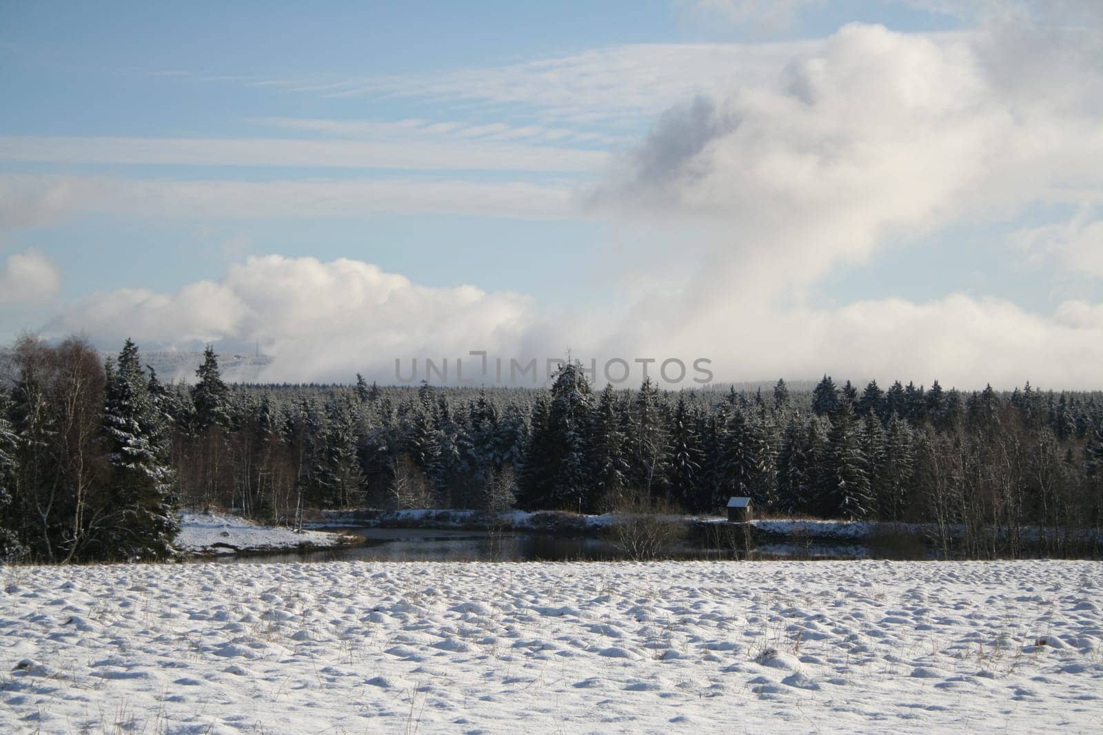 Walk in the snow