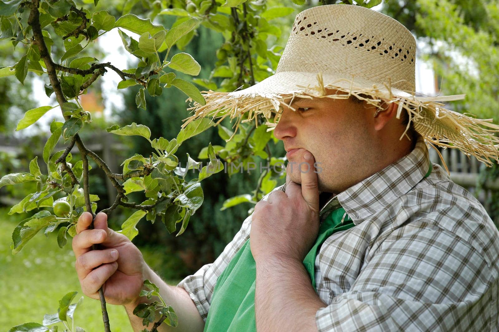 gardener