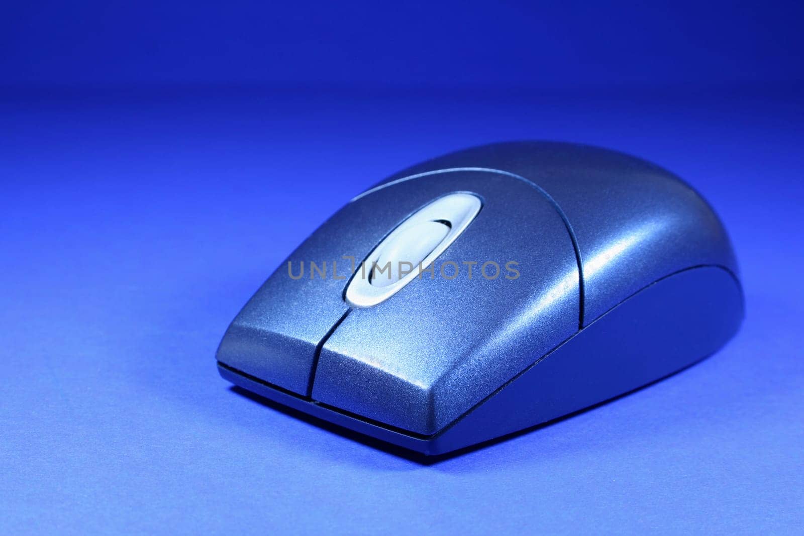 Blue Mouse