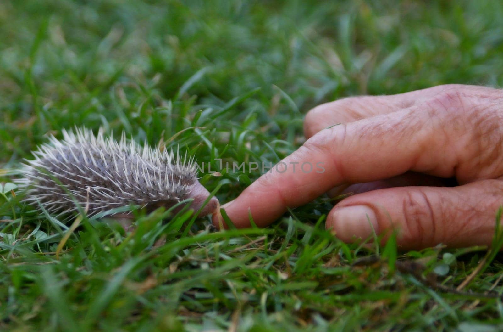 So small...
