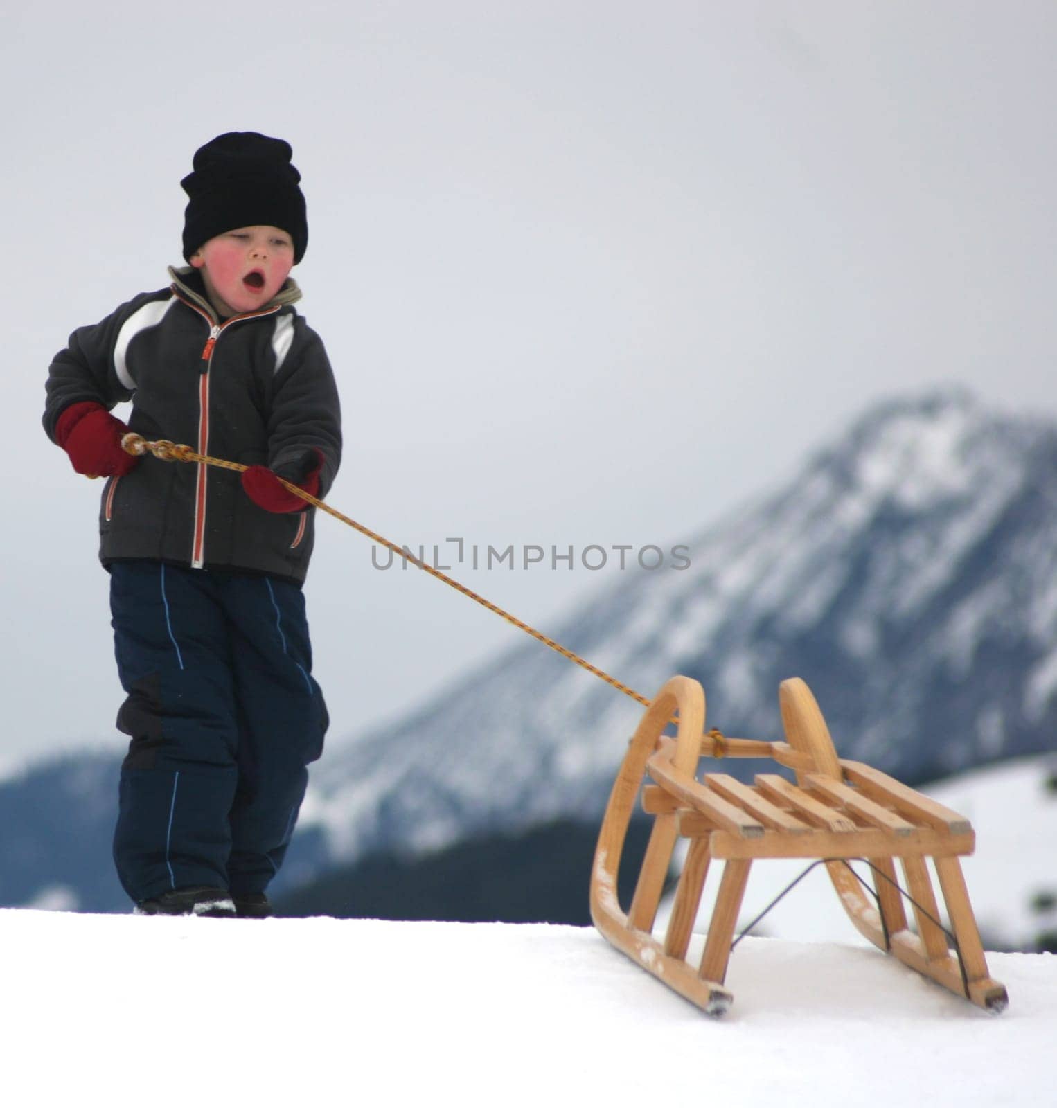 Tobogganing fun no.3