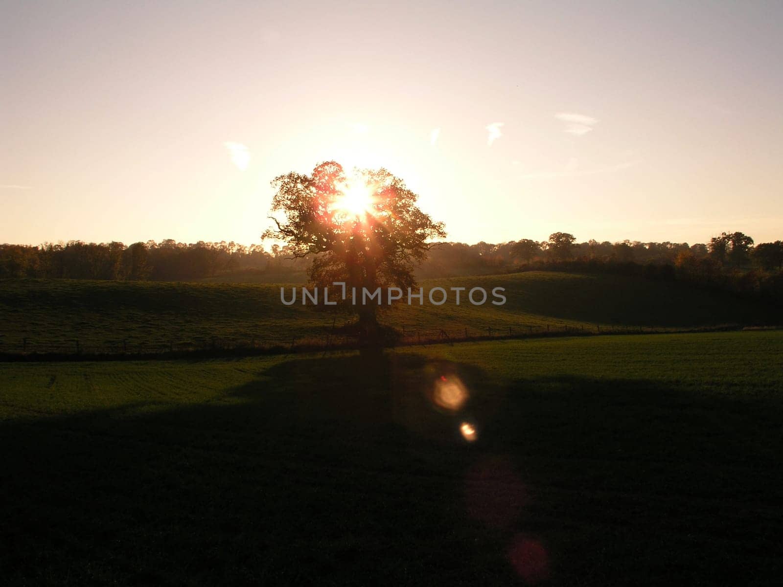 Field
