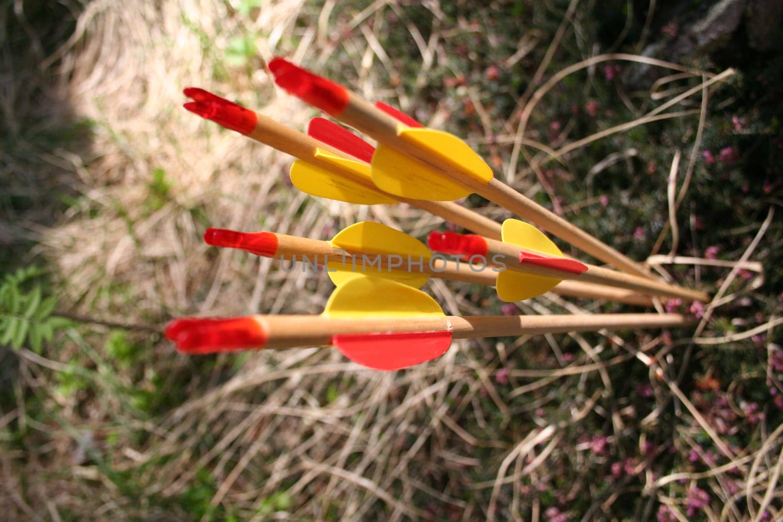 Archery