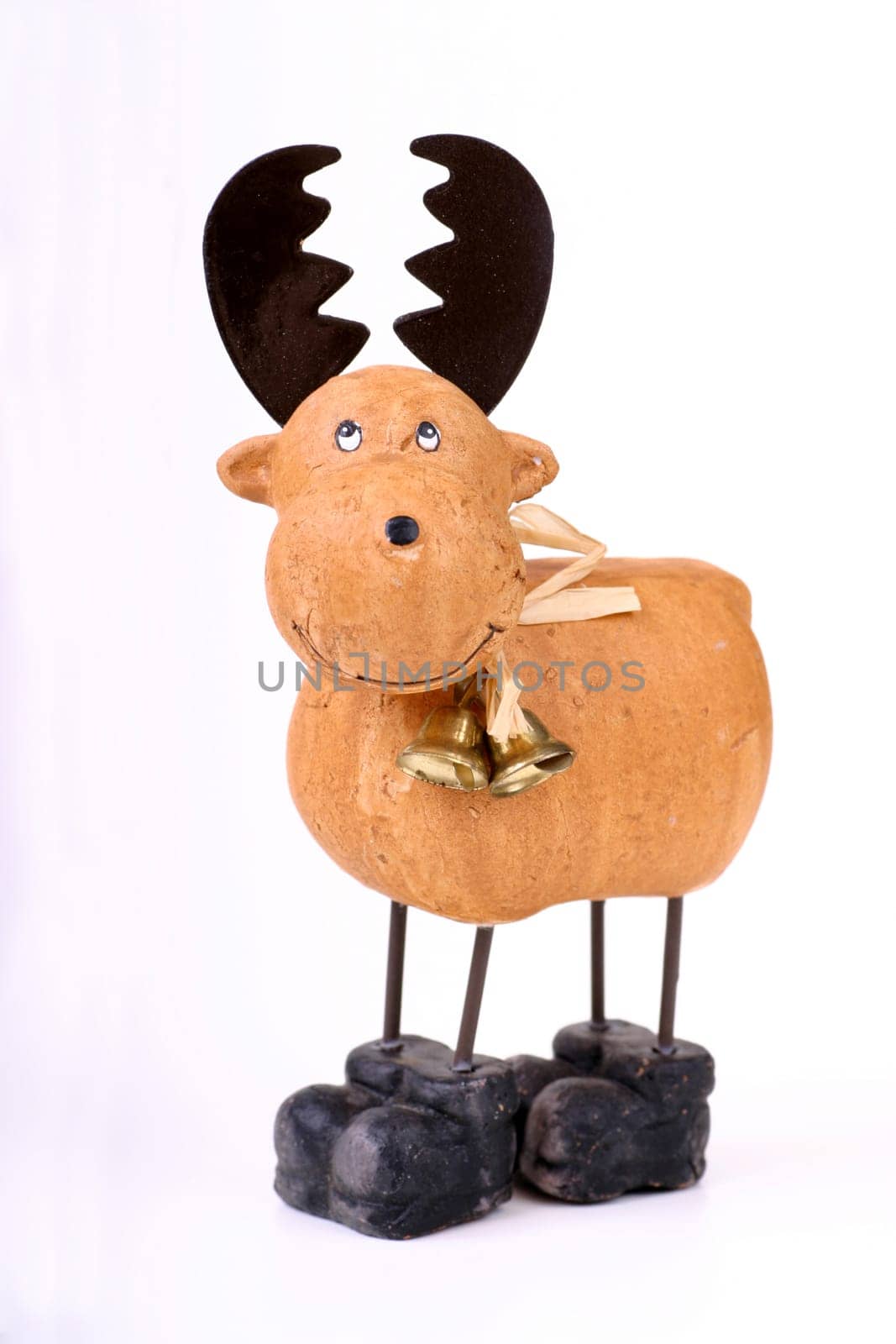Reindeer