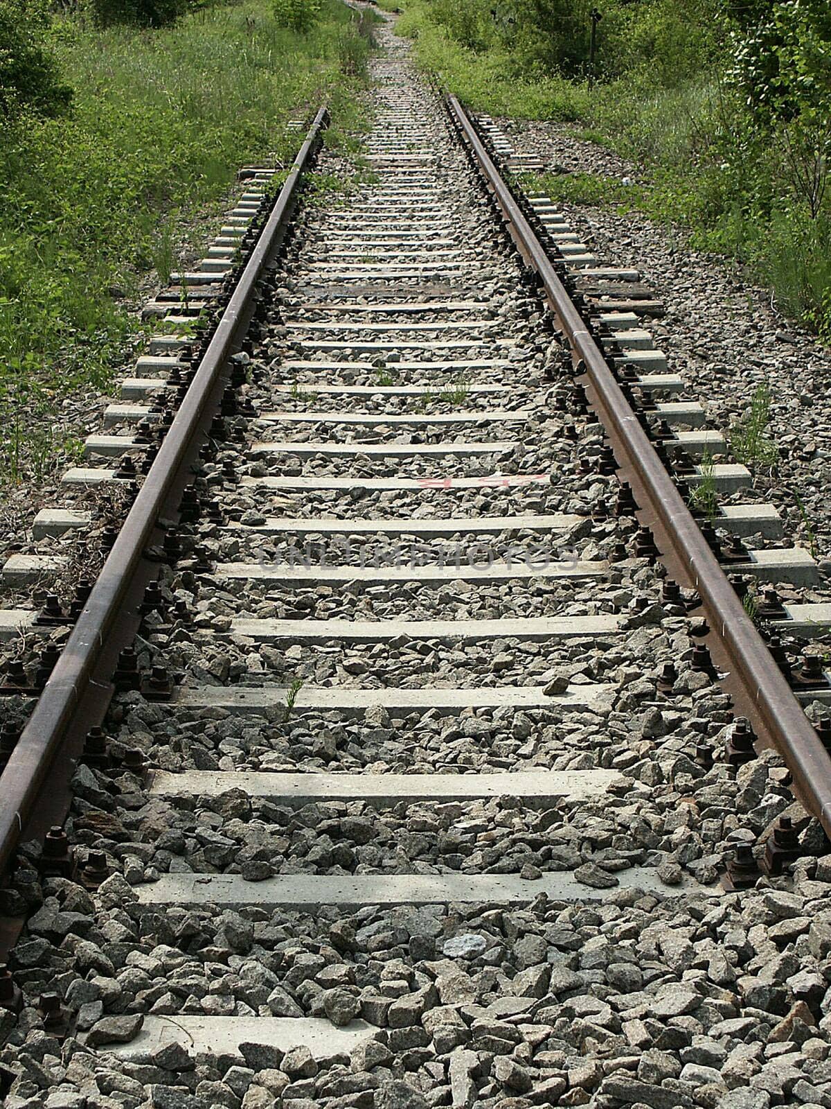 Rails