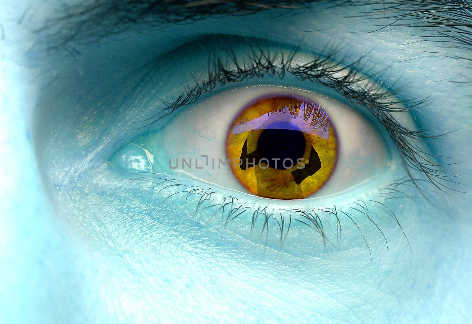 This is my self-portrait #172289 which is reflected in my eye.
