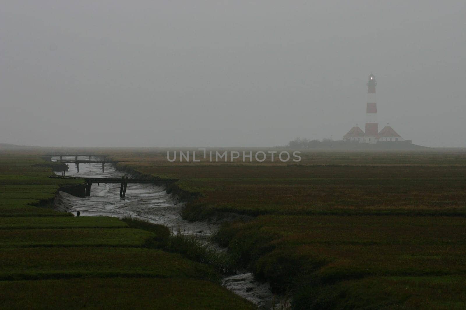 ... I'm back from Husum,actually wanted to bring some photos of sunrises or sunsets,unfortunately I was cancelled due to foggy and hazy weather... here is a photo of my yield. Greeting Bea