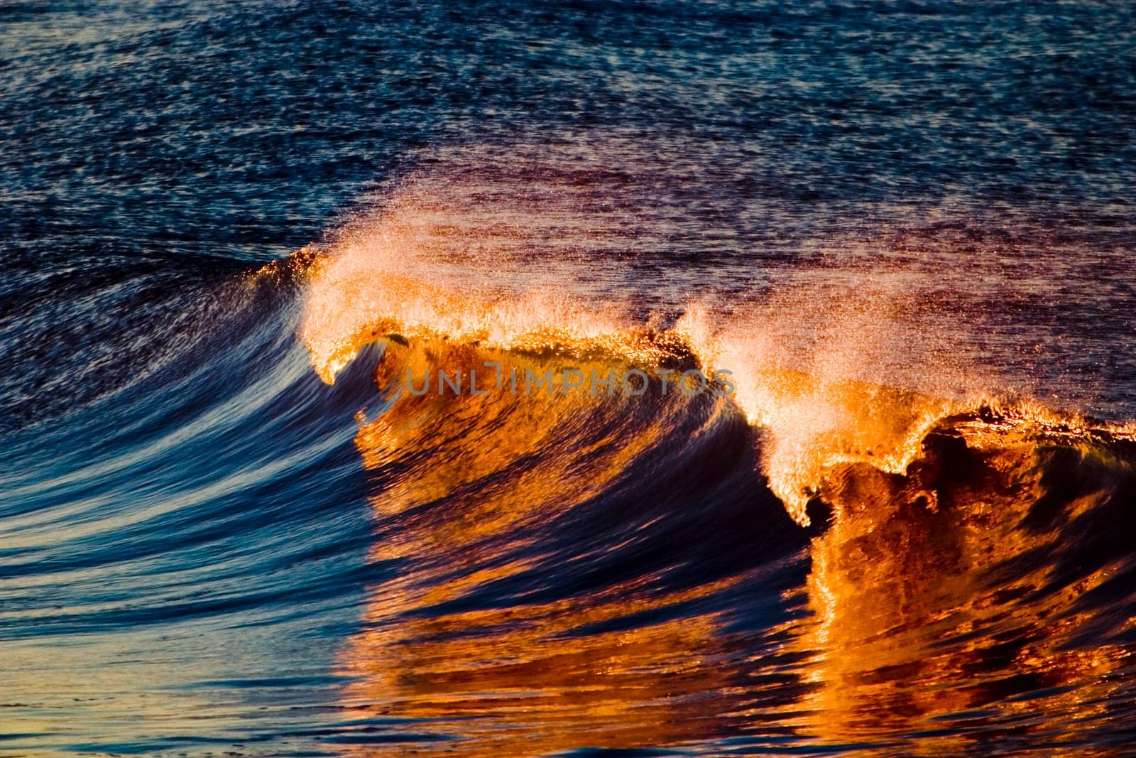 Wave