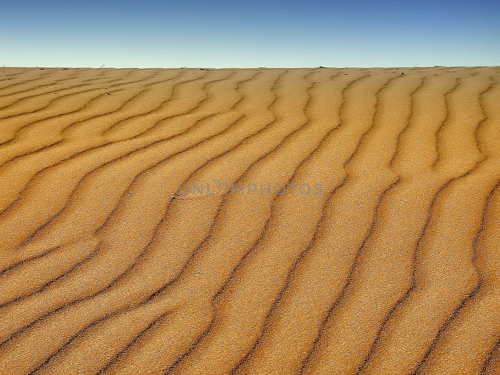 Sand Dune 2