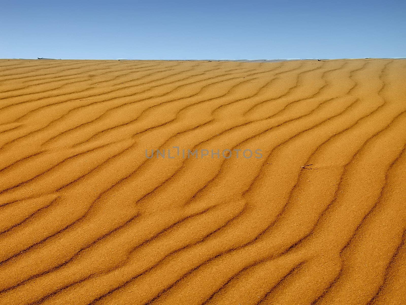 Sand Dune 1