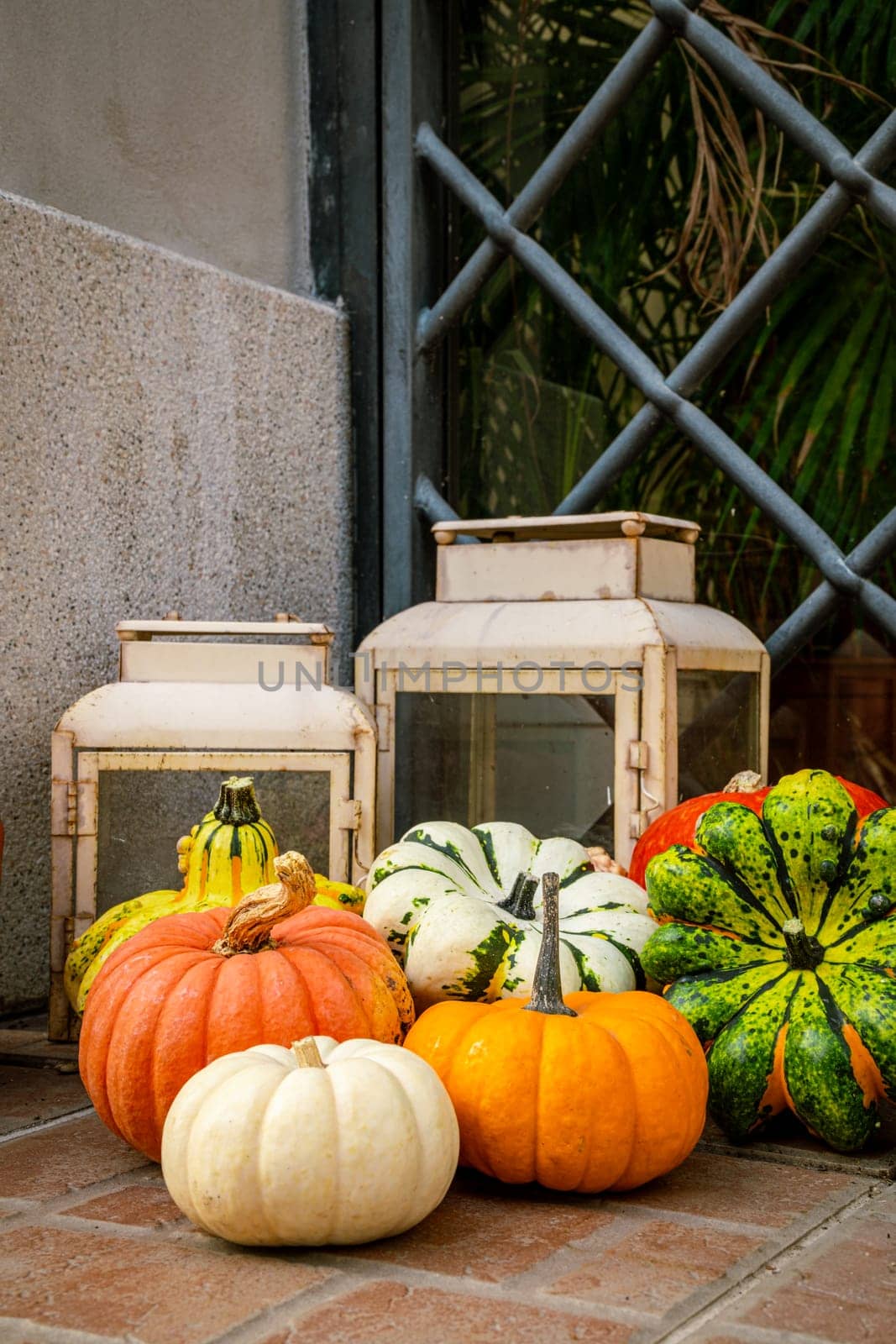 Series of colorful market pumpkins in front of the front door in autumn