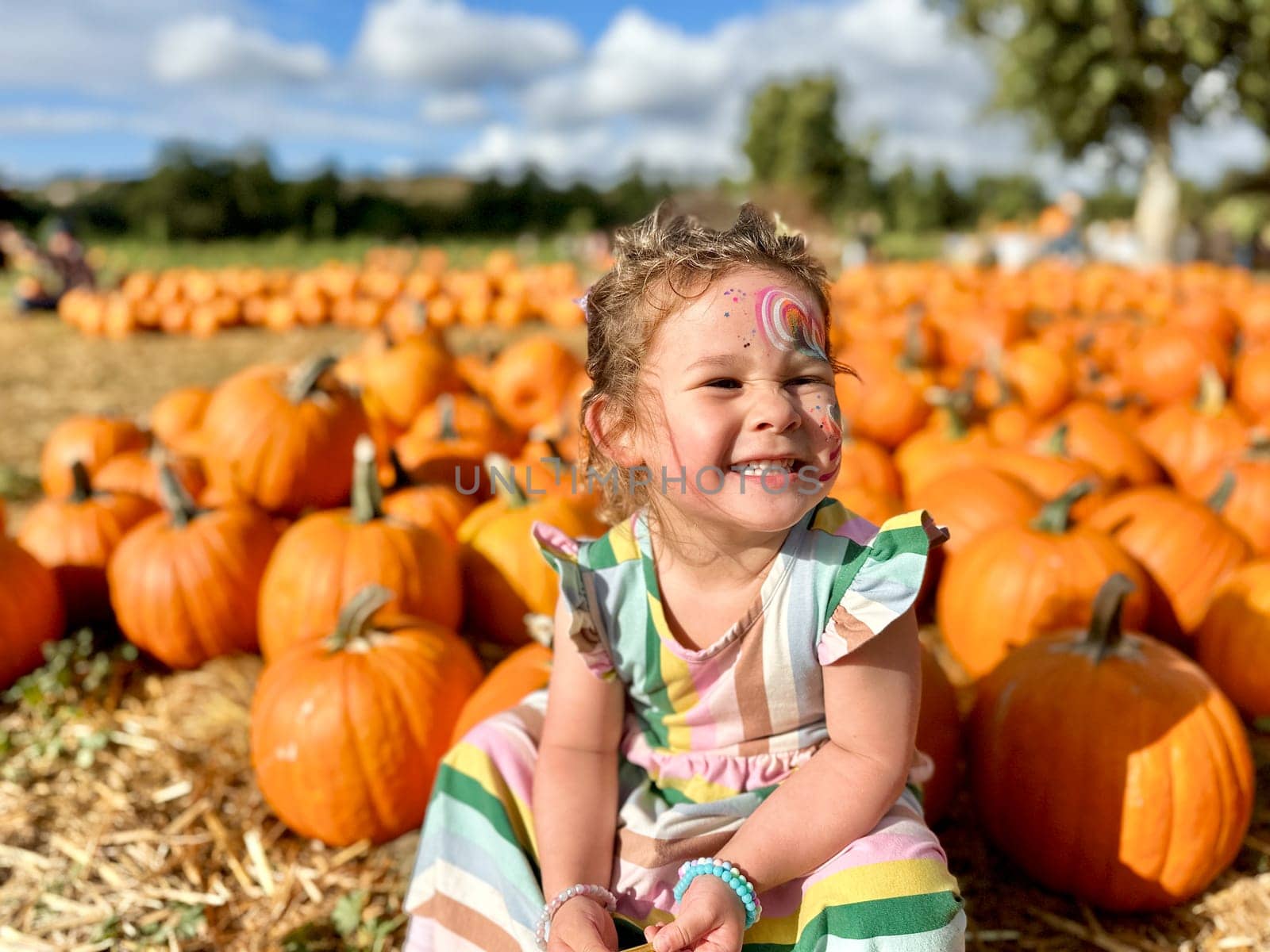 Little girl picking pumpkins on Halloween pumpkin patch. Child playing in field of squash. by Bonandbon