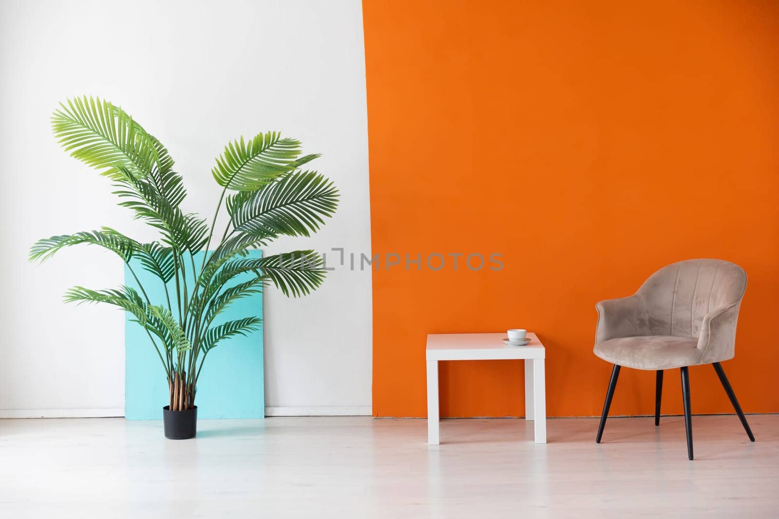 Decorative green plant in the interior of an empty white and orange room by Simakov
