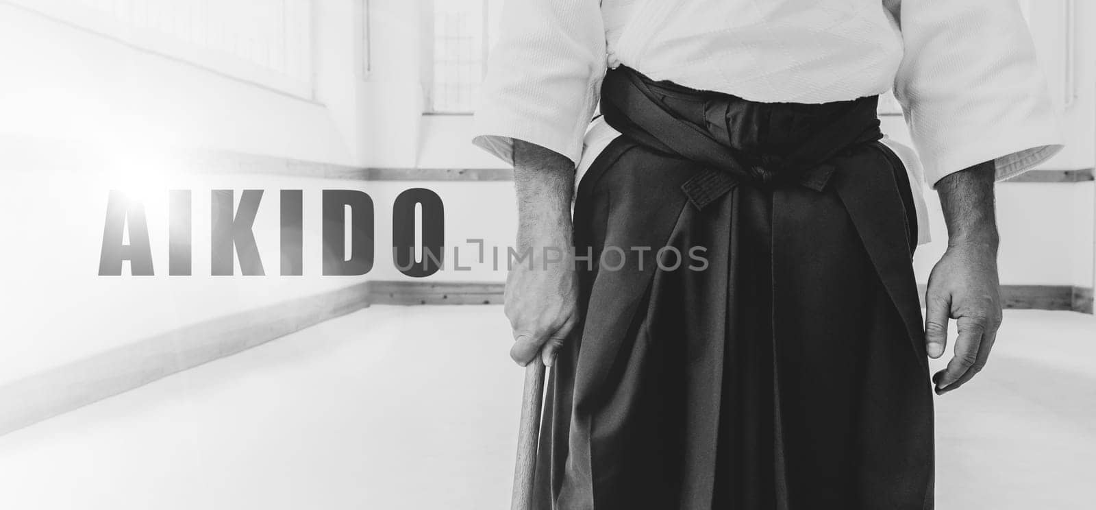 Man practicing aikido martial art in a dojo background.