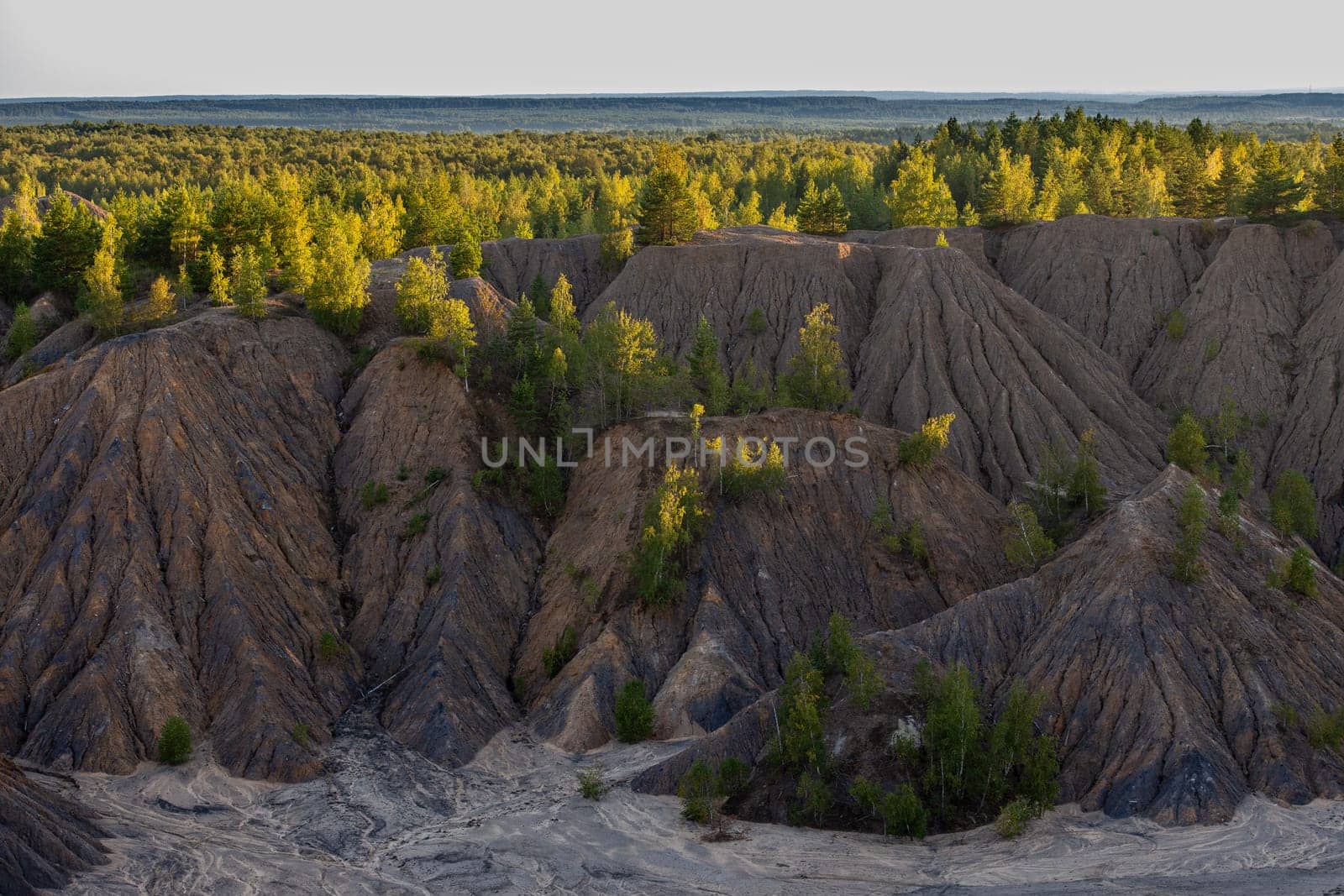 eroded soil quarry ravine with forest on its edge at summer evening.