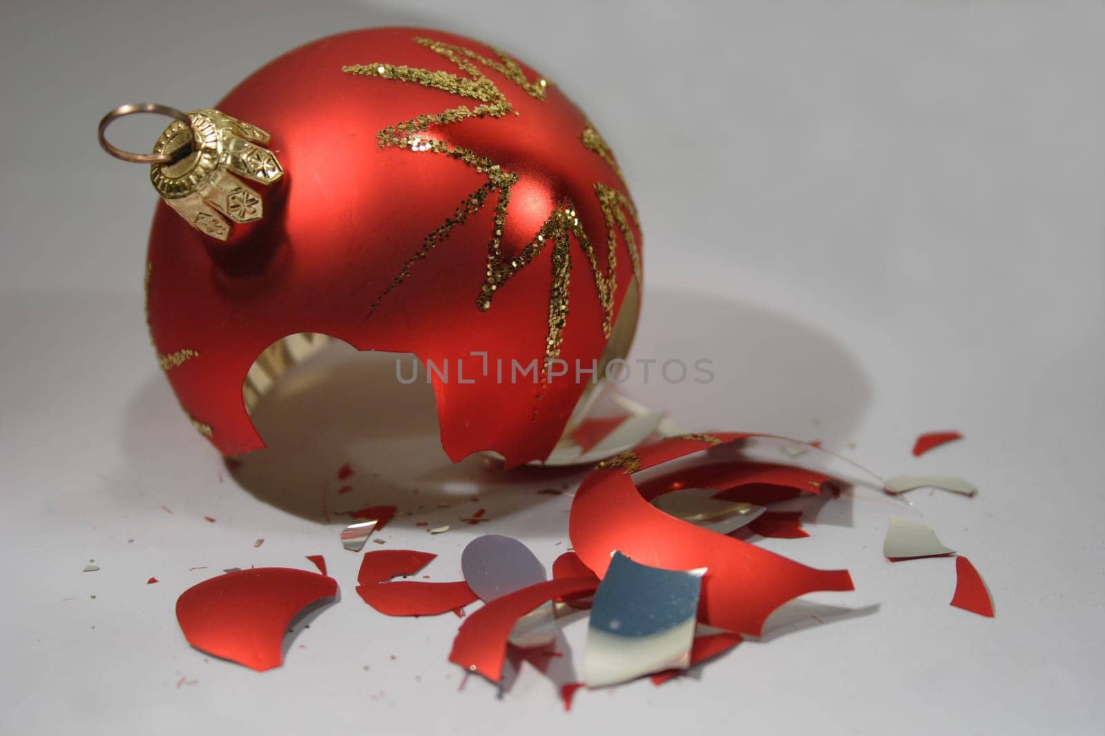 She didn't survive the photo session ...  )