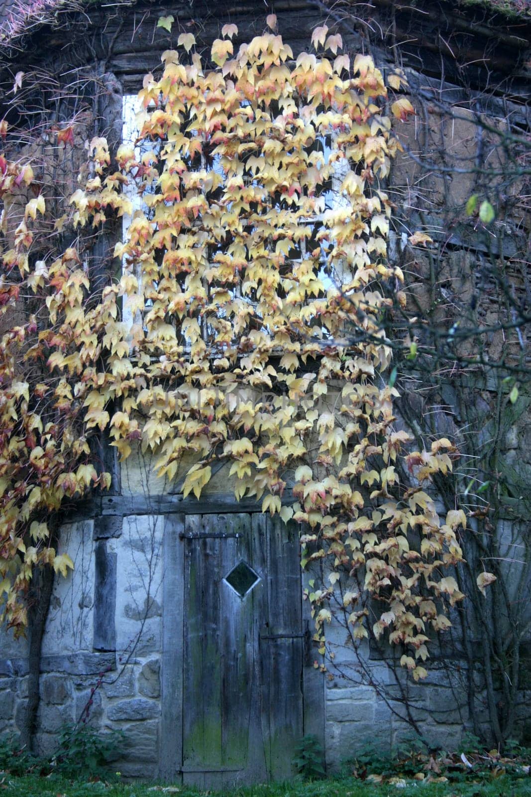 Fairytale Tower