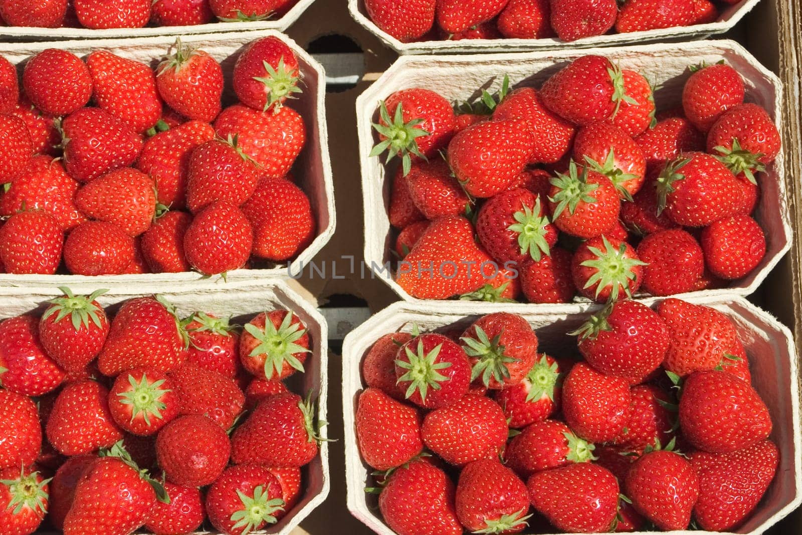 Strawberry peels 03