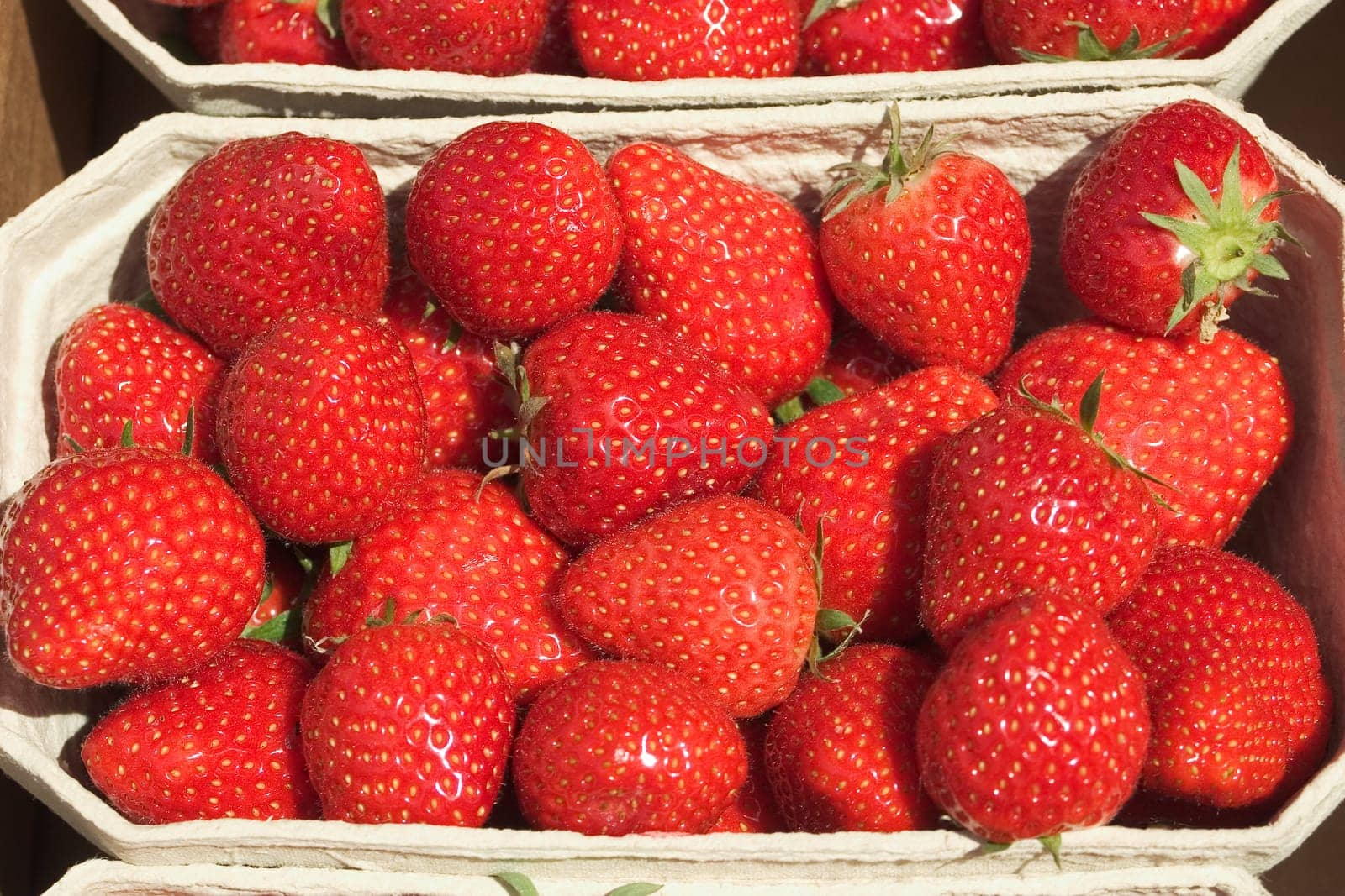 Strawberry peels 04