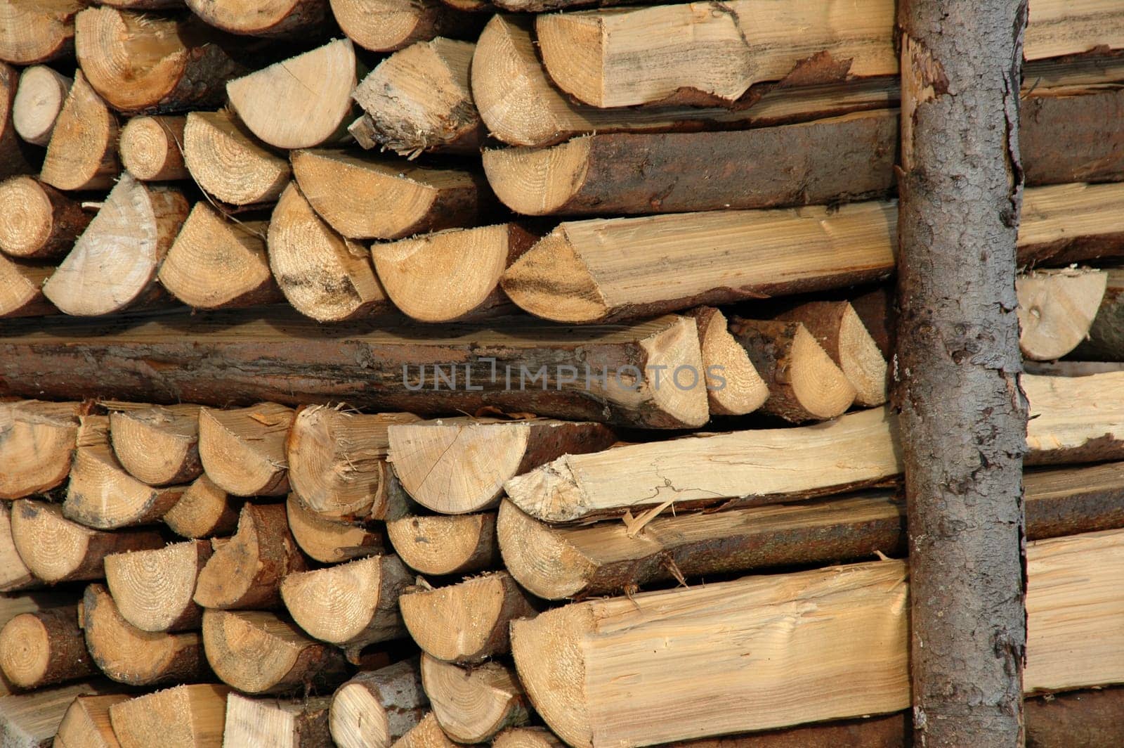 Wood supply