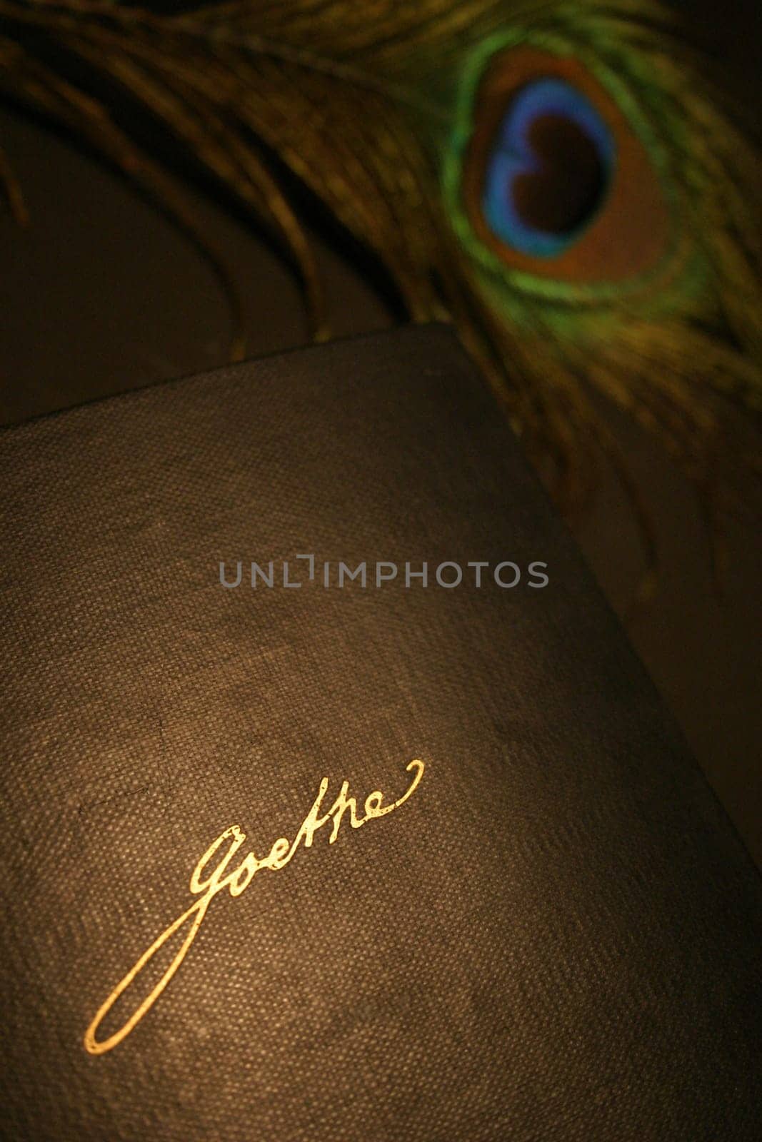 From his pen