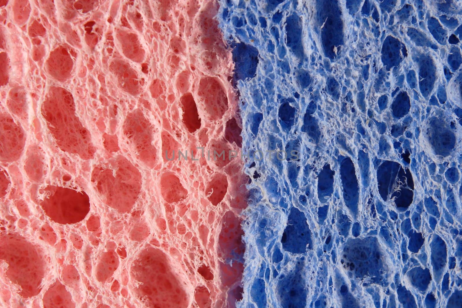 Plaster sponge