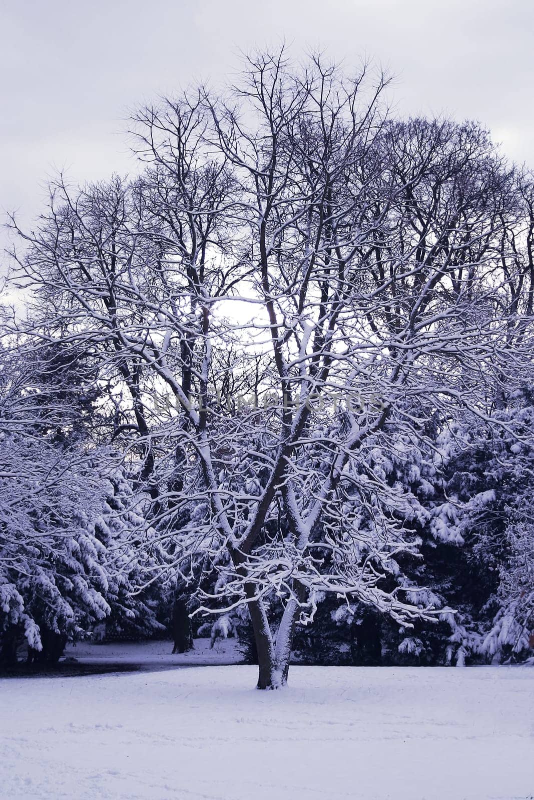 Taken along the Nidda River in Frankfurt. Here I also tinkered with the color.