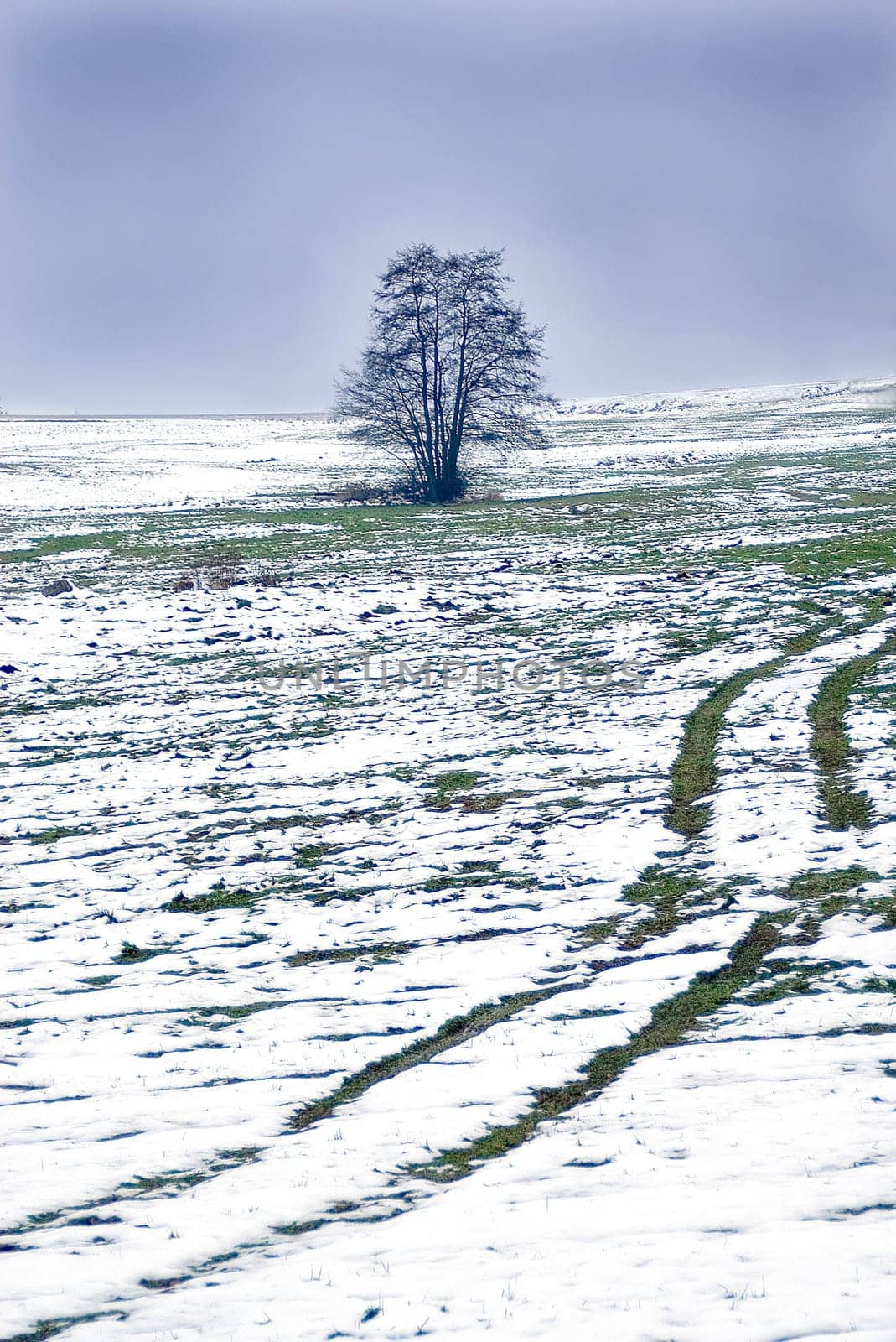 The beginning of winter