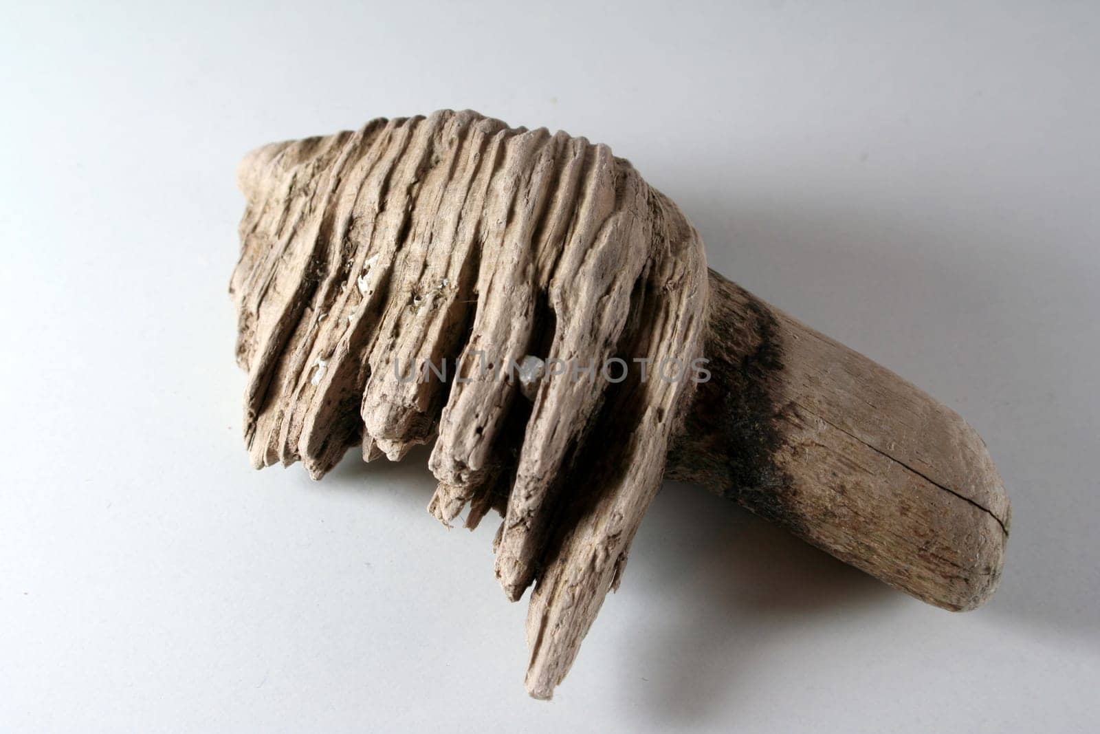 Flotsam from the island of Sylt