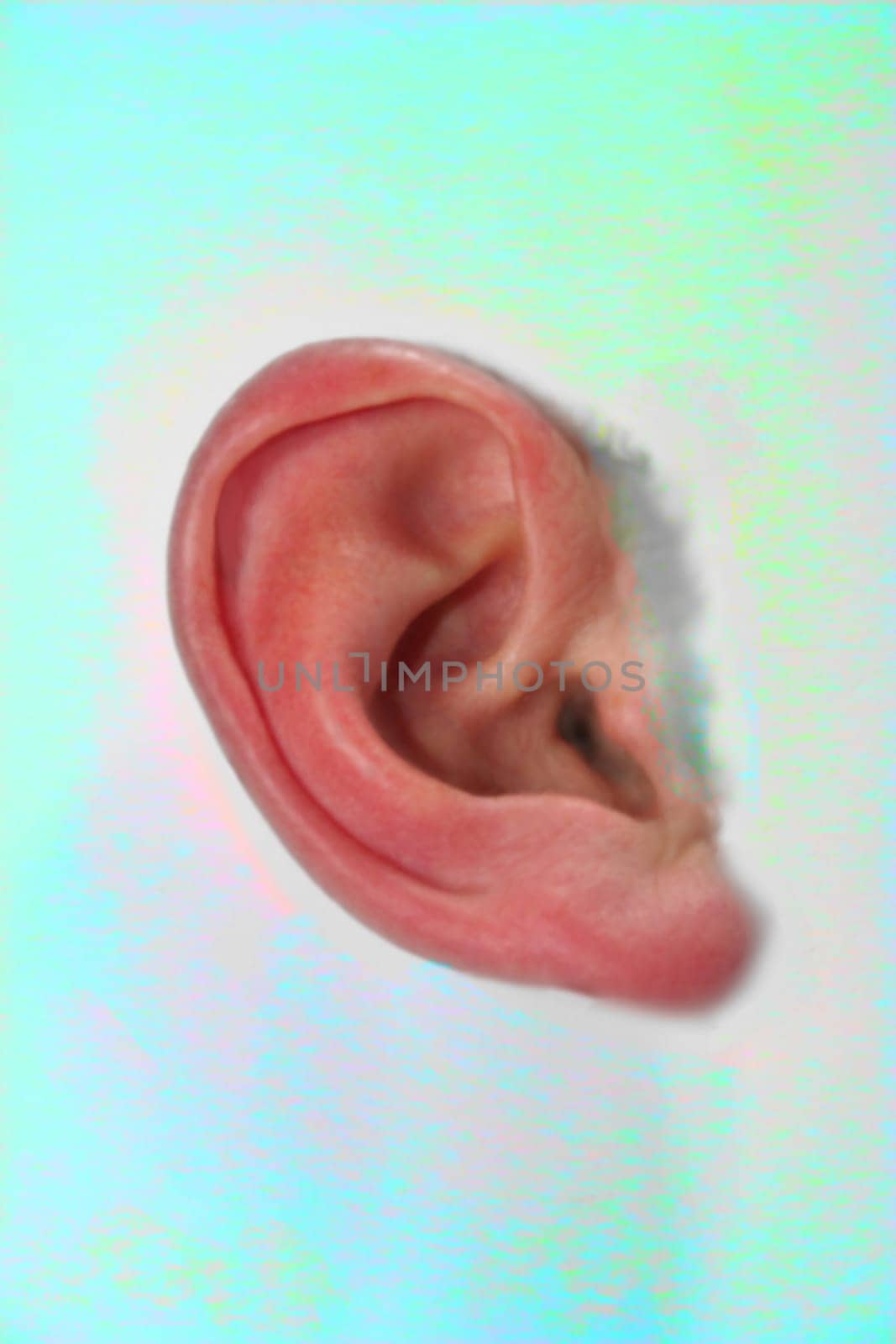 Auditory perception