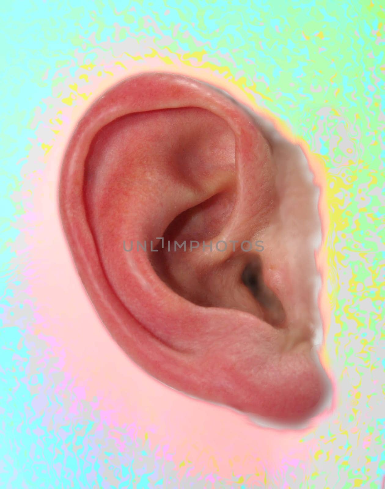 Auditory Perception II