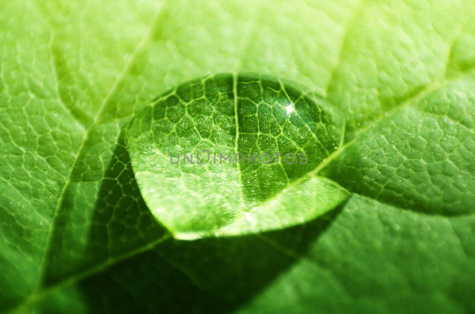 Water droplets I