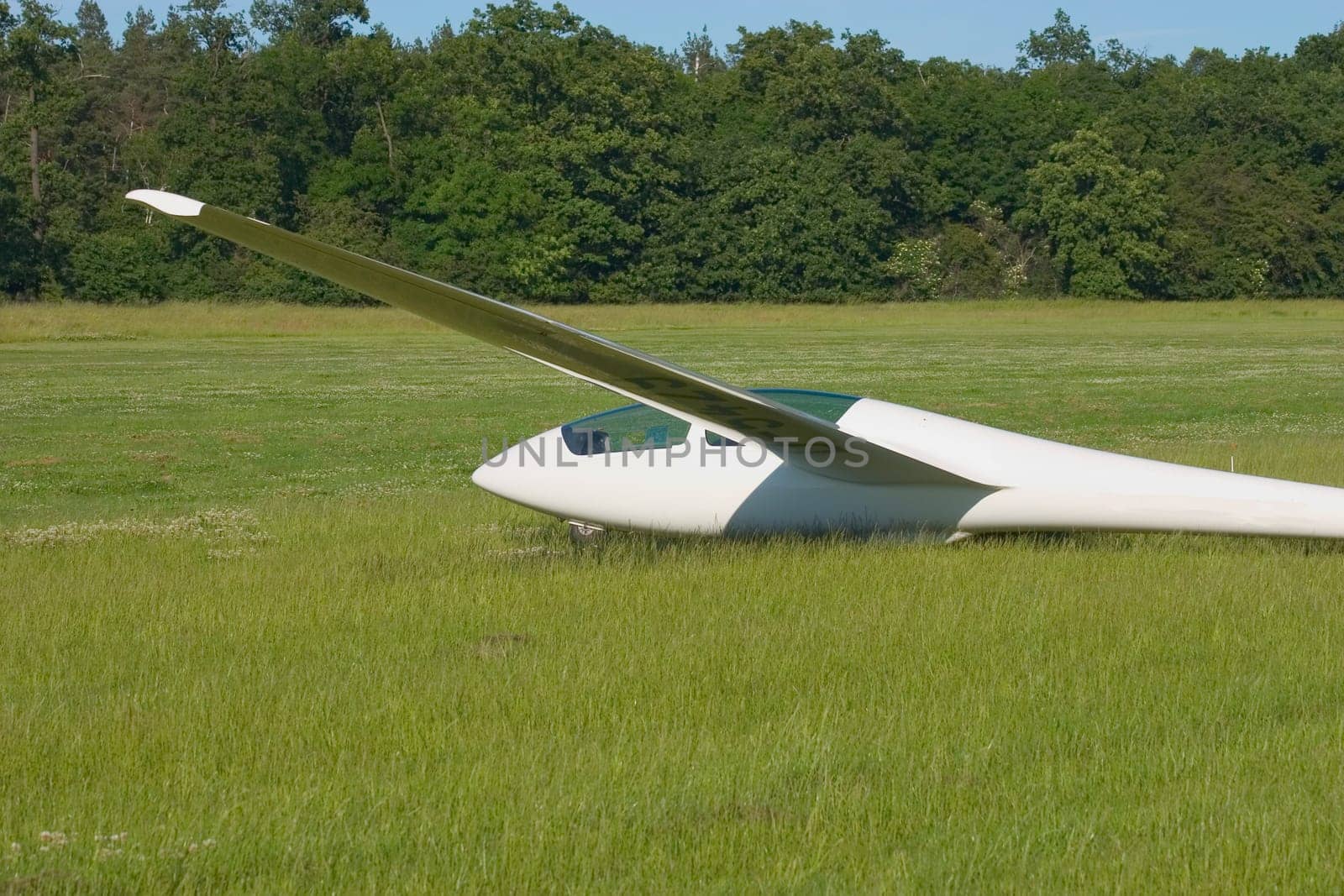 Glider 02