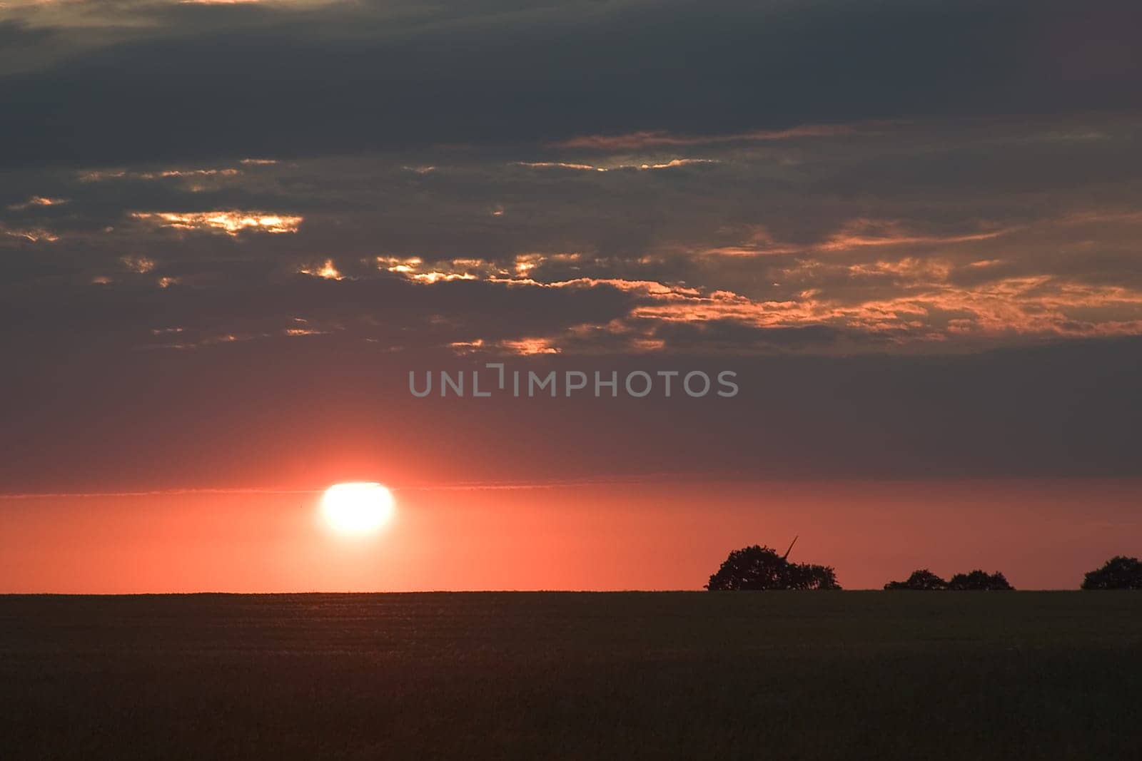 Sunset 12